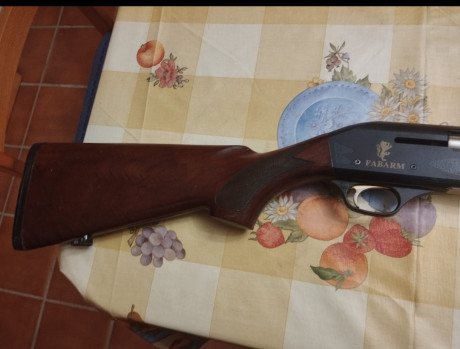 Vendo Fabarm modelo Europa, 71cm, de accionamiento de gases, perfertamente cuidada y limpieza cada salida, 00