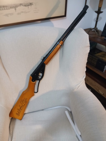Buenas
Oferto una pareja de carabinas tipo infantil/cadete EN PERFECTO ESTADO.

1- carabina Daisy Modelo 01