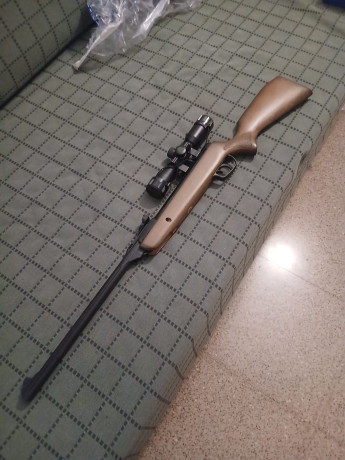 Buenas
Oferto una pareja de carabinas tipo infantil/cadete EN PERFECTO ESTADO.

1- carabina Daisy Modelo 10