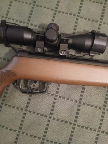 Buenas
Oferto una pareja de carabinas tipo infantil/cadete EN PERFECTO ESTADO.

1- carabina Daisy Modelo 22