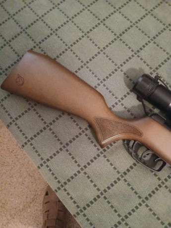 Buenas
Oferto una pareja de carabinas tipo infantil/cadete EN PERFECTO ESTADO.

1- carabina Daisy Modelo 21