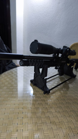 Snowpeak AP 900 , calibre 5,5 , con Kit de muelle del martillo instalado , me costo 80 euros el Kit , 22