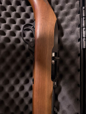 Hola buenas compañeros.

Vendo Ruger 10/22 modelo Sporter cal22 llevo con ella unos meses pero por falta 00
