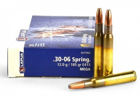 Buenos días, después de que resulte imposible encontrar la winchester silver tip en 168 gr, que bala aconsejáis 10