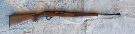 SE VENDE CARABINA SEMIAUTOMÁTICA WINCHESTER MODELO 490 
EN CALIBRE ..22 LONG RIFLE.
CON TRES CARGADORES: 02