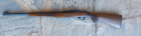 SE VENDE CARABINA SEMIAUTOMÁTICA WINCHESTER MODELO 490 
EN CALIBRE ..22 LONG RIFLE.
CON TRES CARGADORES: 01