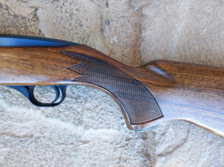SE VENDE CARABINA SEMIAUTOMÁTICA WINCHESTER MODELO 490 
EN CALIBRE ..22 LONG RIFLE.
CON TRES CARGADORES: 12