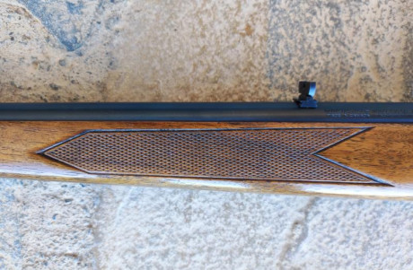 SE VENDE CARABINA SEMIAUTOMÁTICA WINCHESTER MODELO 490 
EN CALIBRE ..22 LONG RIFLE.
CON TRES CARGADORES: 11
