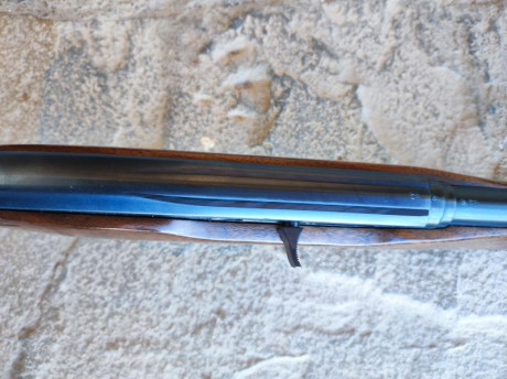 SE VENDE CARABINA SEMIAUTOMÁTICA WINCHESTER MODELO 490 
EN CALIBRE ..22 LONG RIFLE.
CON TRES CARGADORES: 20