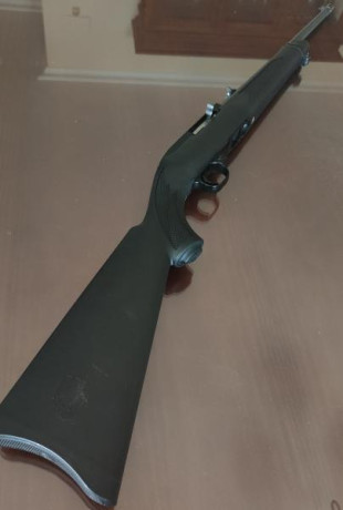 Ruger 10/22 sintético, sin uso, muy nuevo, 450
Norinco palanca 22, pocos tiros,en muy buen estado, 450 02