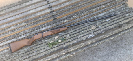 Se vende escopeta de cerrojo marlin goose gun,cañon de 90cm choque full * capacidad de 2+1 con cargador 02