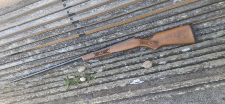 Se vende escopeta de cerrojo marlin goose gun,cañon de 90cm choque full * capacidad de 2+1 con cargador 01