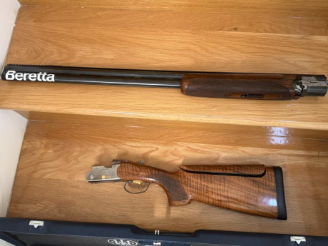   *** OPORTUNIDAD. REBAJADA ***  

Buenas tardes,

Vendo Escopeta Beretta 682 E Gold E Trap de competición, 41