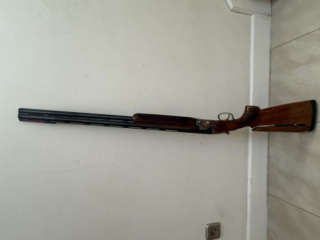   *** OPORTUNIDAD. REBAJADA ***  

Buenas tardes,

Vendo Escopeta Beretta 682 E Gold E Trap de competición, 50
