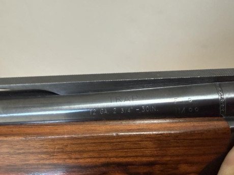   *** OPORTUNIDAD. REBAJADA ***  

Buenas tardes,

Vendo Escopeta Beretta 682 E Gold E Trap de competición, 60