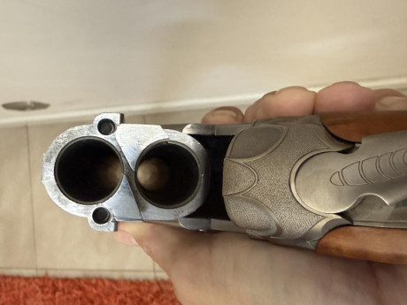   *** OPORTUNIDAD. REBAJADA ***  

Buenas tardes,

Vendo Escopeta Beretta 682 E Gold E Trap de competición, 72