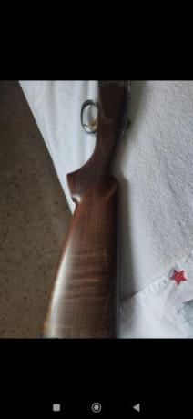 Un amigo vende Beretta silver pigeon 1 con 10 tiros pegados tres polichoques sin estrenar con su maletín 00