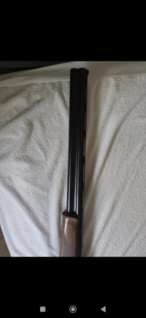 Un amigo vende Beretta silver pigeon 1 con 10 tiros pegados tres polichoques sin estrenar con su maletín 10
