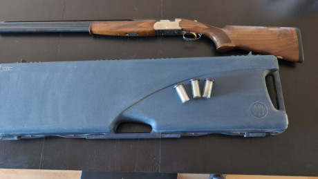 Se vende Beretta sporting Silver Pigeon 
Muy poco uso. Estuche original y cinco choques.
La escopeta está 01