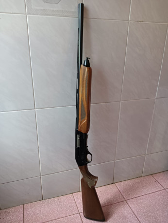 Se vende escopeta Fabarm Lion H368..
Ojo. No es mía. Me ha dicho un amigo que se lo ponga en venta.
Tiene 30