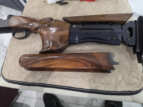 Se vende Beretta dt11 black edition trap como nueva.
El arma salió de armeria Ampudia Valladolid hace 12