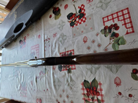 Buenas. Vendo esta repetidora browning fusion. Cuidada y mantenida debidamente.
Del Calibre: 12
Cañón: 00