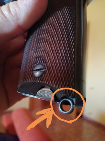 Buenas tardes.

Busco una anilla de base de armazón de las empleadas para las pistolss de la serie puro, 00