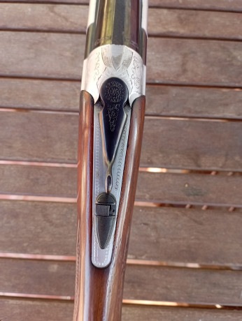 Vendo (es de un compañero) una escopeta Beretta S56E, restaurada, cañón de 71cm., 3-1*.
Se vende en 480€ 12