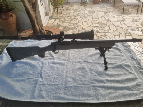 Se vende Rifle REMINGTON SPS TACTICAL calibre 300 BLACKOUT con 20 disparos prácticamente nuevo, con visor 01