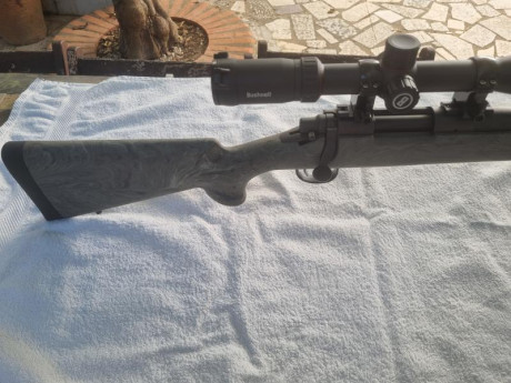 Se vende Rifle REMINGTON SPS TACTICAL calibre 300 BLACKOUT con 20 disparos prácticamente nuevo, con visor 12