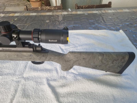 Se vende Rifle REMINGTON SPS TACTICAL calibre 300 BLACKOUT con 20 disparos prácticamente nuevo, con visor 11