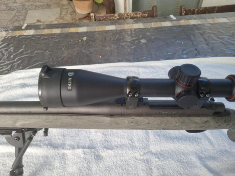 Se vende Rifle REMINGTON SPS TACTICAL calibre 300 BLACKOUT con 20 disparos prácticamente nuevo, con visor 10