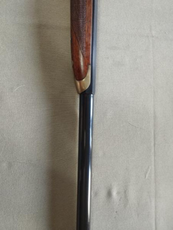 Algún sharps 1874 a la venta? Solo 34”
Gracias. 122