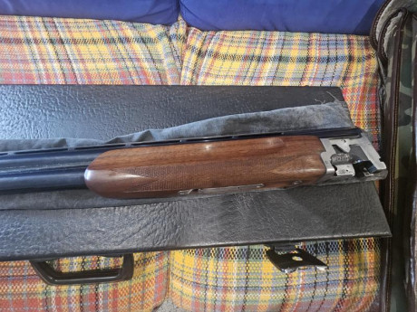 Miroku 3800 TR1, cañon de 76 y madera en perfecto estado,  2 y 1 estrellas, selector de tiro, culata montecarlo, 11