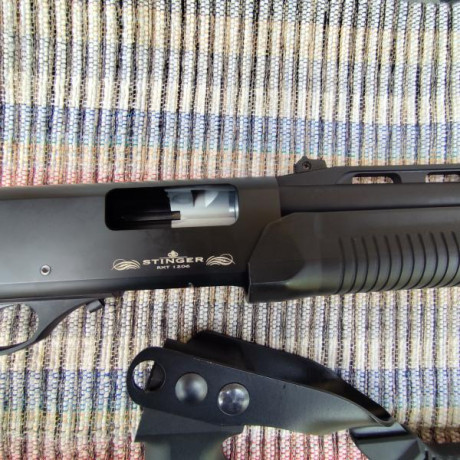 Escopeta STINGER RXT 1206
Calibre 12
Corredera, carga 4+1
Culata fija de polímero y culata plegable
4 40