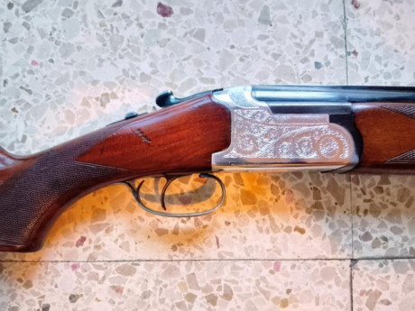 Vendo superpuesta Lanber calibre 12 en un estado de conservación excelente.
​Especificaciones y equipamiento:
​Cañón: 11