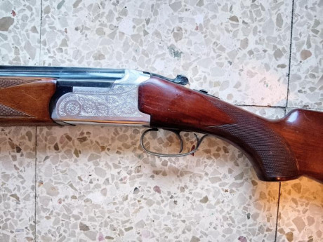 Vendo superpuesta Lanber calibre 12 en un estado de conservación excelente.
​Especificaciones y equipamiento:
​Cañón: 20