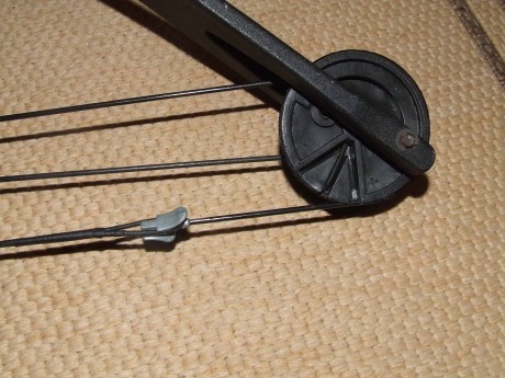 Hola, que adquirido recientemente un arco de poleas y estoy ansioso de disparar las primeras flechas. 50