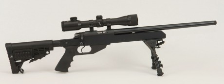 perdonad mi poca soltura en este tema pero yo pensaba k el 22 era el mas pequeño en armas de fuego pero 30