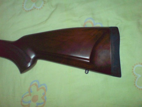 ...la que yo tengo, y es que dentro de unos años me he propuesto comprar un rifle como el que tengo, un 72