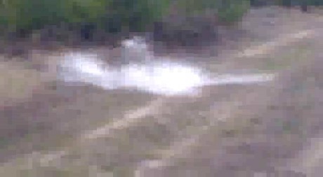 Hola compis. 
Os cuento el lance de ayer porque tiene tela marinera. De alguna manera me da hasta vergüenza 20