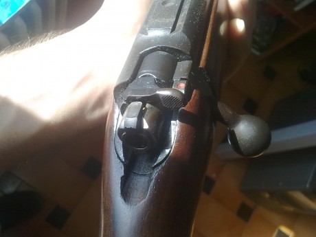 Buenas tengo esta carabina (BRNO II) y me gustaria ponerle un visor, para tirar a 50m y alguna vez esporadicamente 31