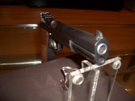 Bueno,
Siguiendo las buenas tradiciones, abro este post para que el puñado de propietarios de estas armas 10