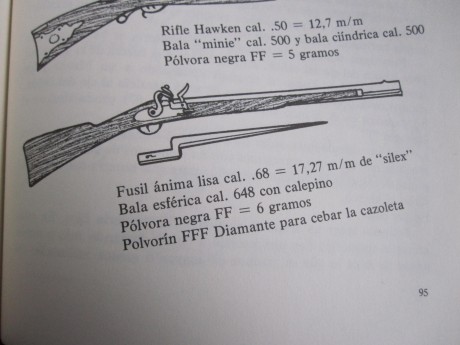 Dudas, dudas, bien con un Calibre .54 con 7 estrias y un paso de 1:65, está claro que la maxi no le va 131