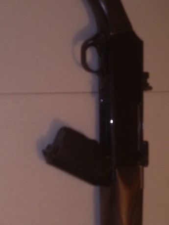 tengo un rifle fn 300 win mag y me gustaria saber el modelo y de que año es ya he entrado en la pagina 21