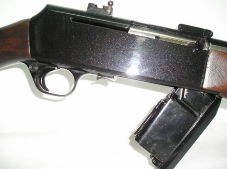 tengo un rifle fn 300 win mag y me gustaria saber el modelo y de que año es ya he entrado en la pagina 31