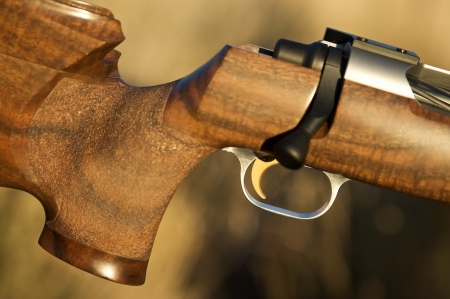 Aqui os dejo un articulo sobre un rifle para modalidad Palma, en el Link teneis todo el proceso de fabricacion.


 01