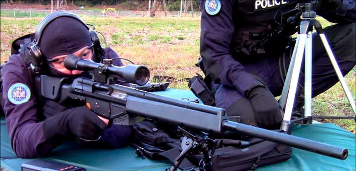 armas rifles tirador designado wwii PSG 1