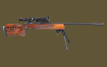 SIG-Sauer SSG 2000