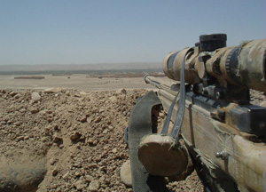 accuracy_international_L115